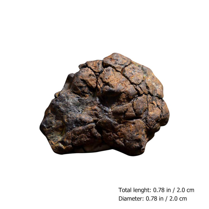 Meteorite Real Space Rock in Treasure Chest Box Display
