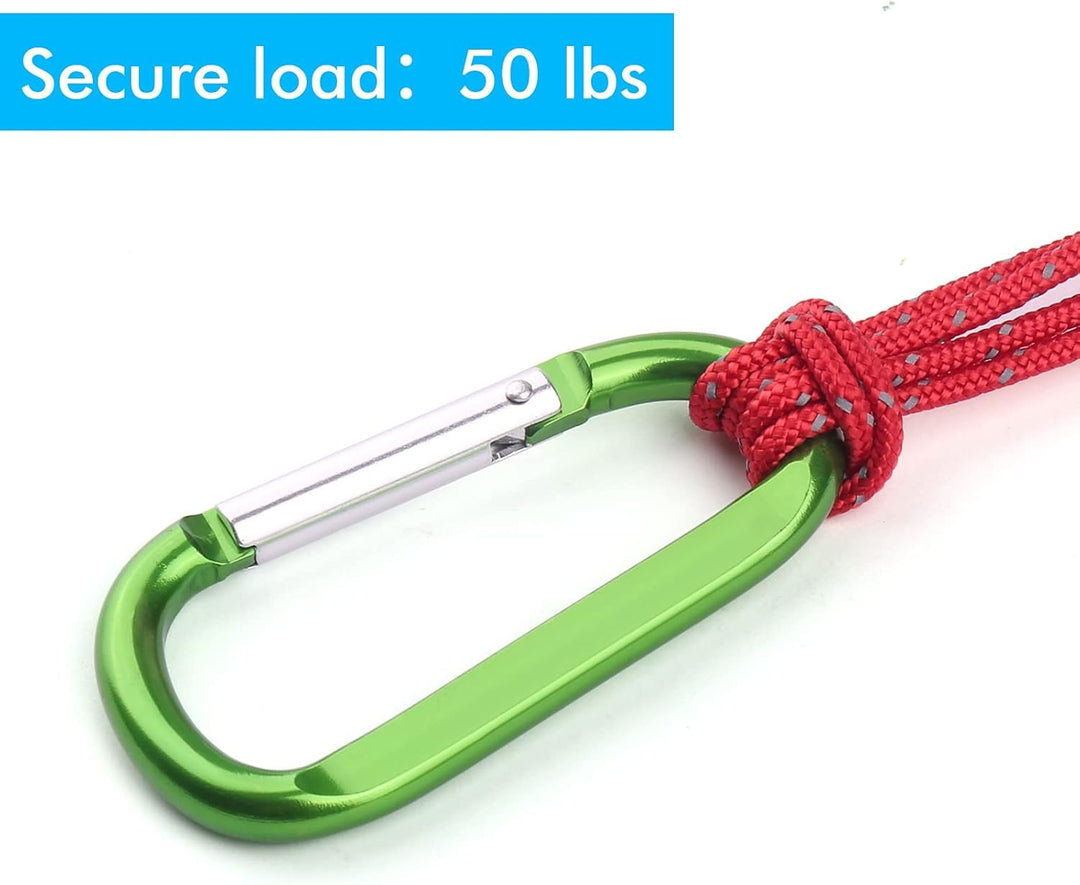 6PCS Carabiner Caribeaner Clip,3 Large Aluminum D Ring Shape Carabeaner Keychain Hook