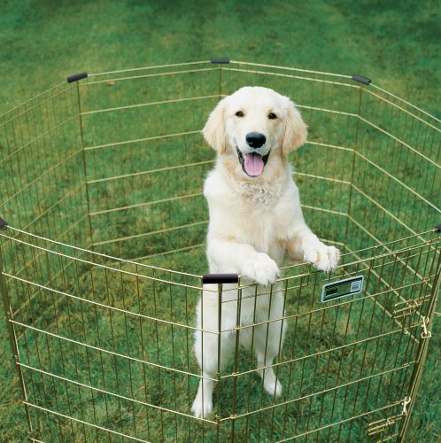 Dog Exercise Pen &amp; Playpen, 24 W x 30 W, No Door, Gold Zinc