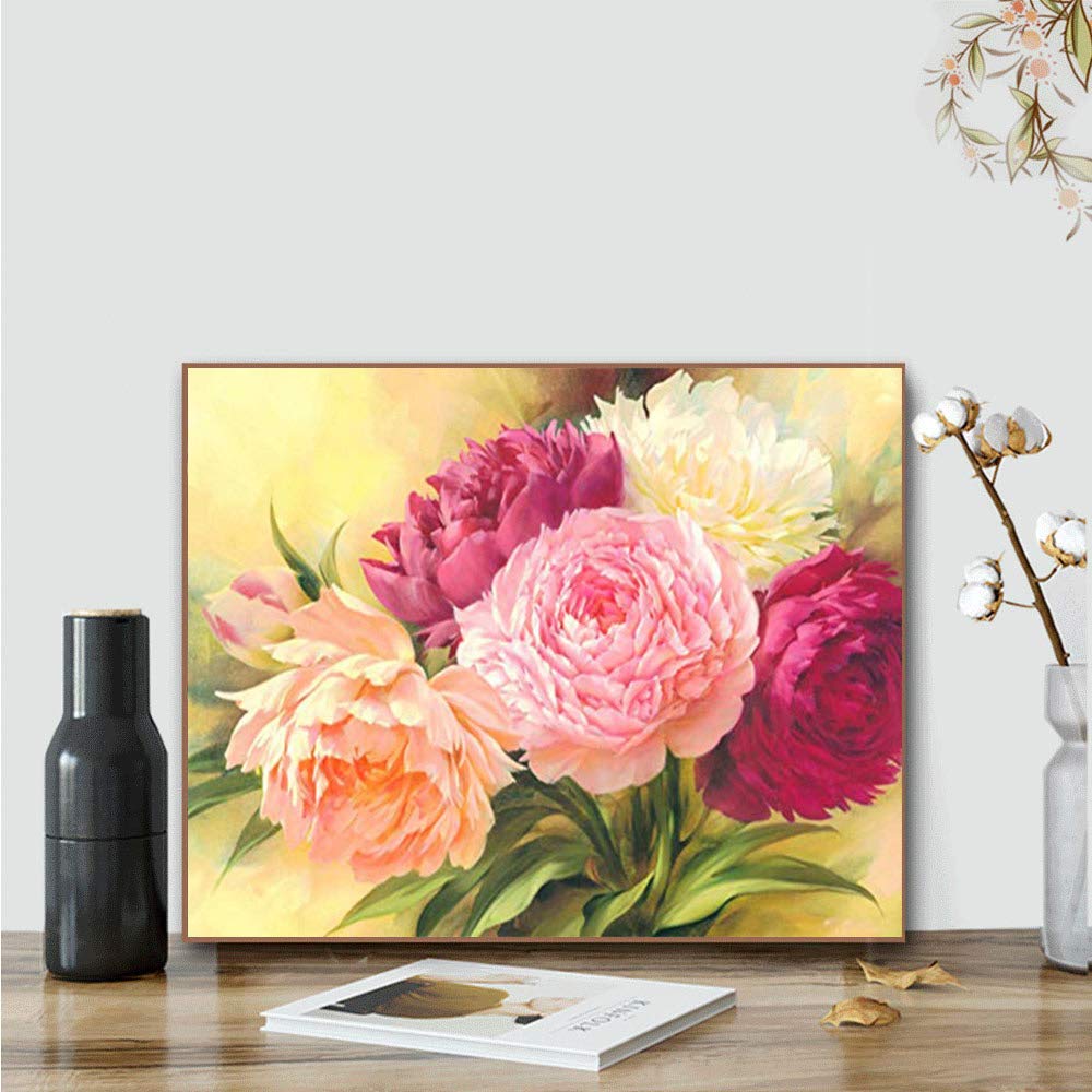 Kimily DIY Paint by Numbers for Adults Kids Flower Peon
