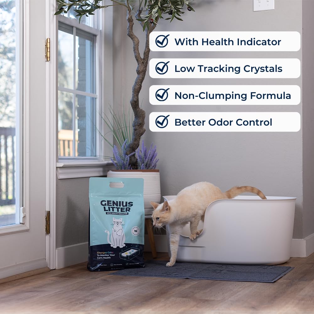 Health Indicating Cat Litter with Non-Clumping Lightweight Color Changing Silica Gel Crystals As Seen on Shark Tank, Non Clumping, Super Absorbent Odor Control (1 Bag (6lb))