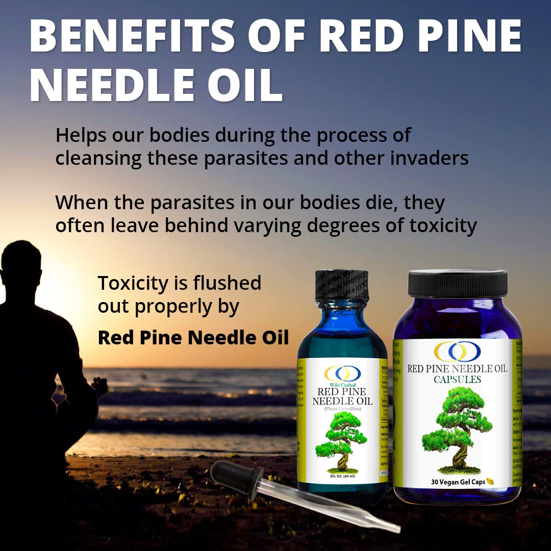 Red Pine Needle Oil 2oz - Daily Drops for Extreme Immune Support - BioActive Cell &amp; DNA Support - 1290 Drops - 3 to 7 Drops Per Dose -Vegan Body Cleanse - Longevity Oil