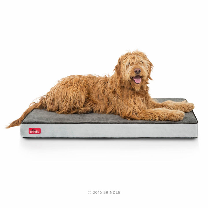 BRINDLE Waterproof Memory Foam Pet Bed - Removable and Washable Cover - 4 Inch Orthopedic Dog and Cat Bed - Fits Most Crates
