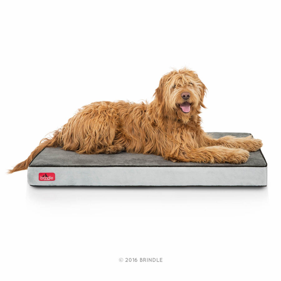 BRINDLE Waterproof Memory Foam Pet Bed - Removable and Washable Cover - 4 Inch Orthopedic Dog and Cat Bed - Fits Most Crates