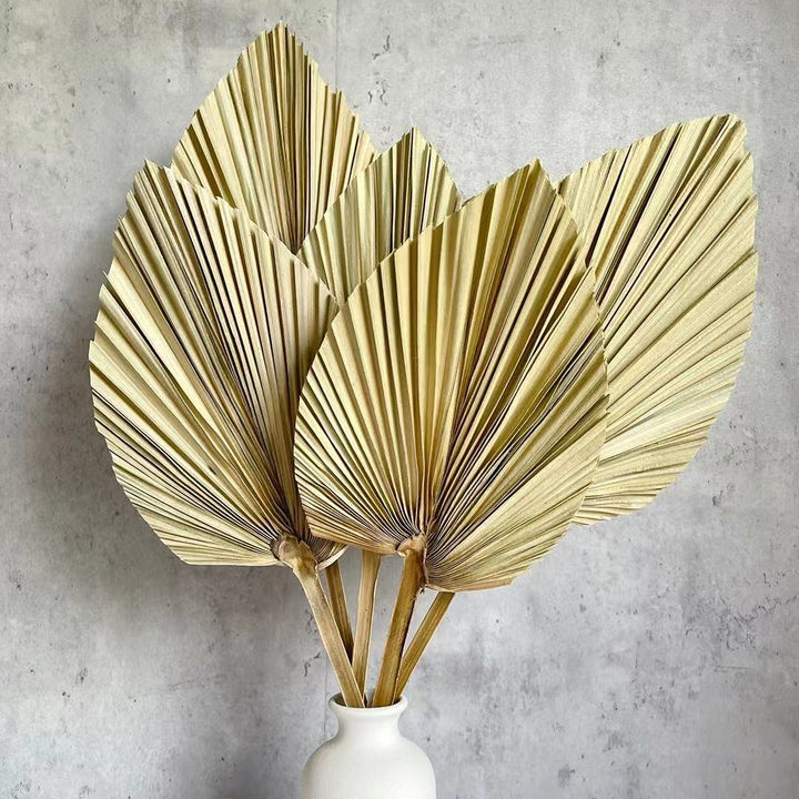 5Pcs 18 H x 6.5 W Trimmed Dried Palm Leaves, Dried Palm Spear, Boho Wedding Decor, Hawaiian Luau Party Table Decoration, Dried Wedding Flowers