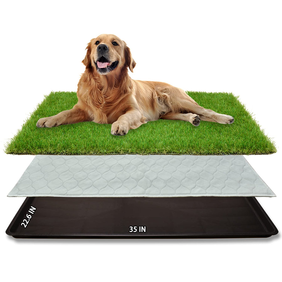 Dog Grass Large Potty Patch, Dog Litter Boxes Artificial Grass Bathroom Turf for Pet Training, Washable Puppy Pee Pad, Perfect Indoor/Outdoor Portable Potty Pet Loo (Tray system-35X22.6)