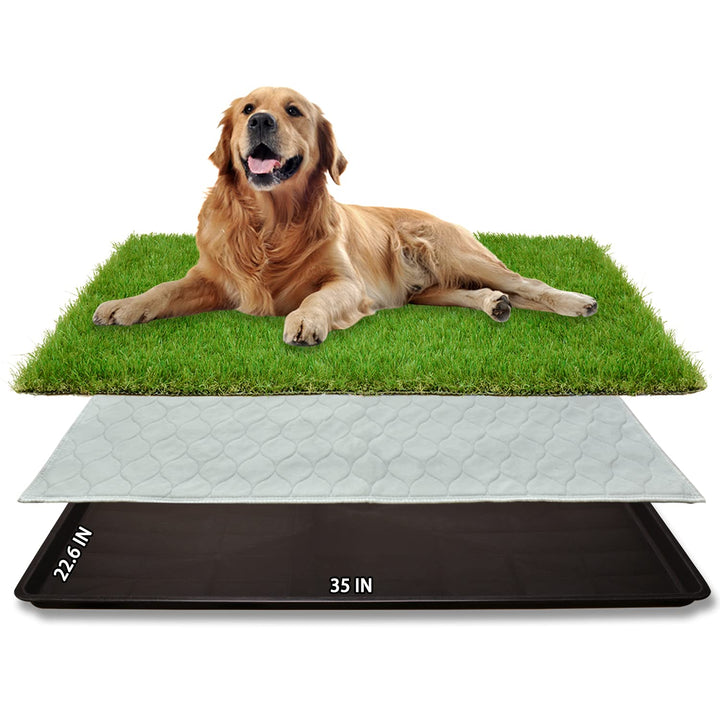 Dog Grass Large Potty Patch, Dog Litter Boxes Artificial Grass Bathroom Turf for Pet Training, Washable Puppy Pee Pad, Perfect Indoor/Outdoor Portable Potty Pet Loo (Tray system-35X22.6)