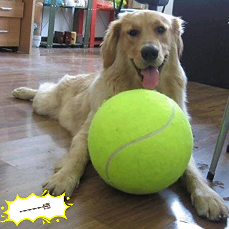 Giant 9.5 Dog Tennis Ball Large Pet Toys Funny Outdoor Sports Ball with Inflating Needles for Small Medium Large Dog