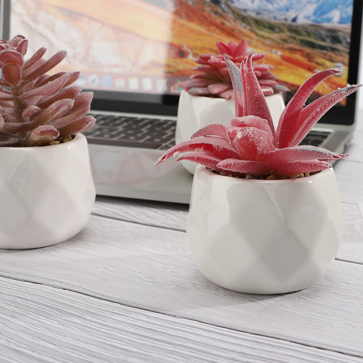 Artificial Succulent Plants Set of 4, Mini Life-Like Faux Succulents in White Ceramic Pots for Office Desk, Home Shelve, Fake Desk Plants for Home and Office Decoration