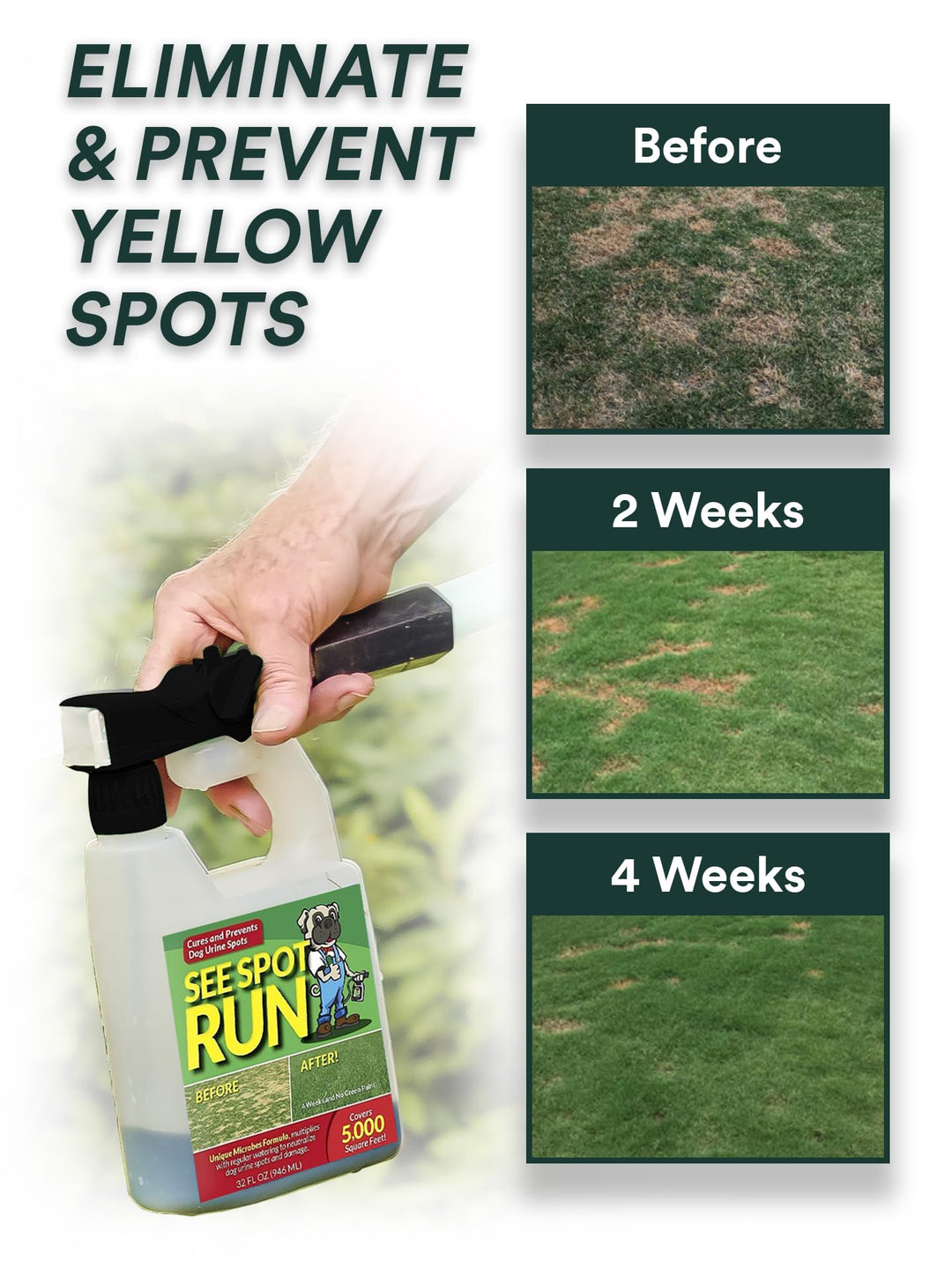Eliminate Yellow Spots On Your Lawn Caused by Dog Urine | All-Natural, Safe for Pets and Humans | Made in The USA | Ready-to-Mix Gallon (32 oz)