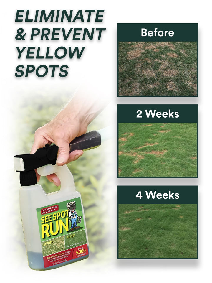 Eliminate Yellow Spots On Your Lawn Caused by Dog Urine | All-Natural, Safe for Pets and Humans | Made in The USA | Ready-to-Mix Gallon (32 oz)