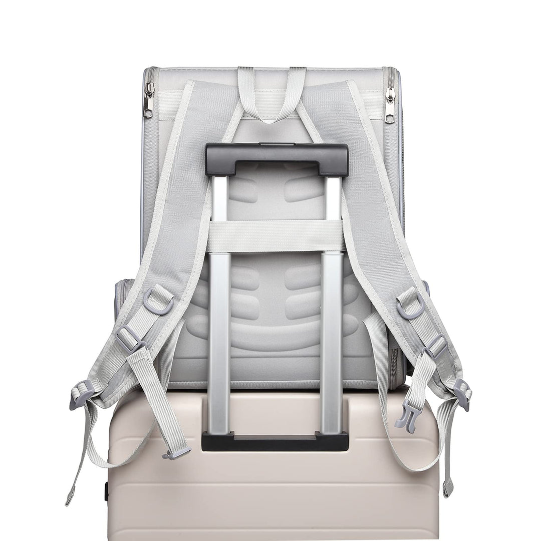 Pet Backpack Carrier for Small Cats Dogs | Ventilated Design, Safety Straps, Buckle Support, Collapsible | Designed for Travel, Hiking &amp; Outdoor Use (Light Gray)