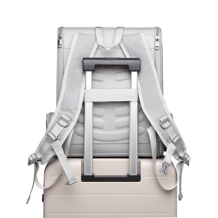 Pet Backpack Carrier for Small Cats Dogs | Ventilated Design, Safety Straps, Buckle Support, Collapsible | Designed for Travel, Hiking &amp; Outdoor Use (Light Gray)
