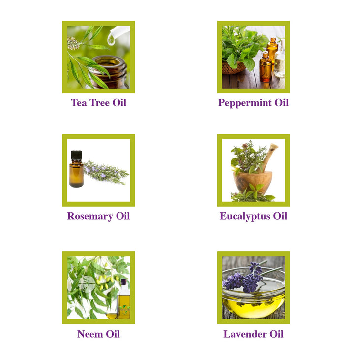 Kids Lice Guard Detangler, 240ml