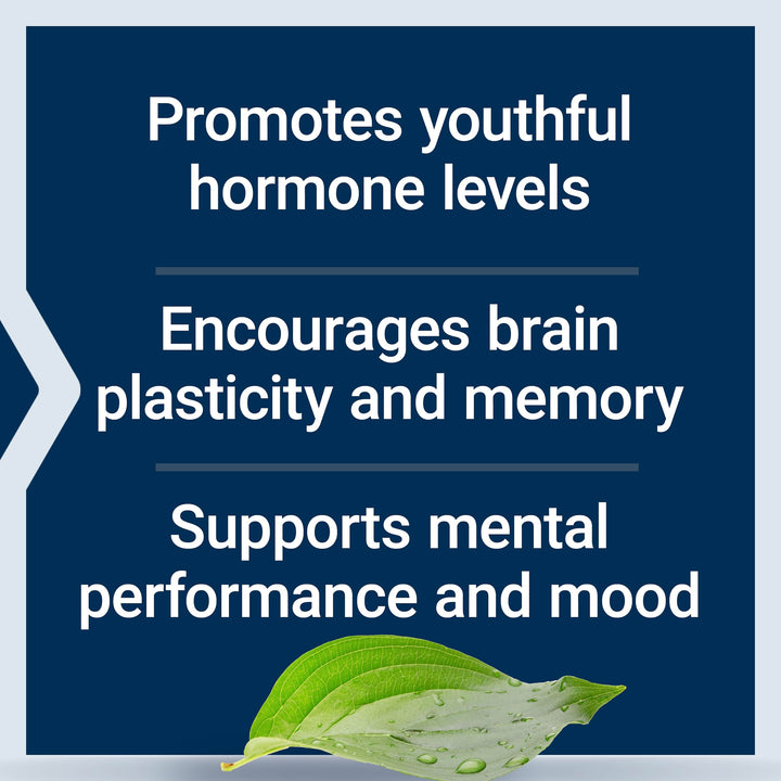 Pregnenolone - Hormone Balance Supplement for Healthy Hormone Levels, 100 mg - Hormone Balance, Memory, Focus, Cognitive Health - Gluten-Free, Non-GMO, 100 Capsules