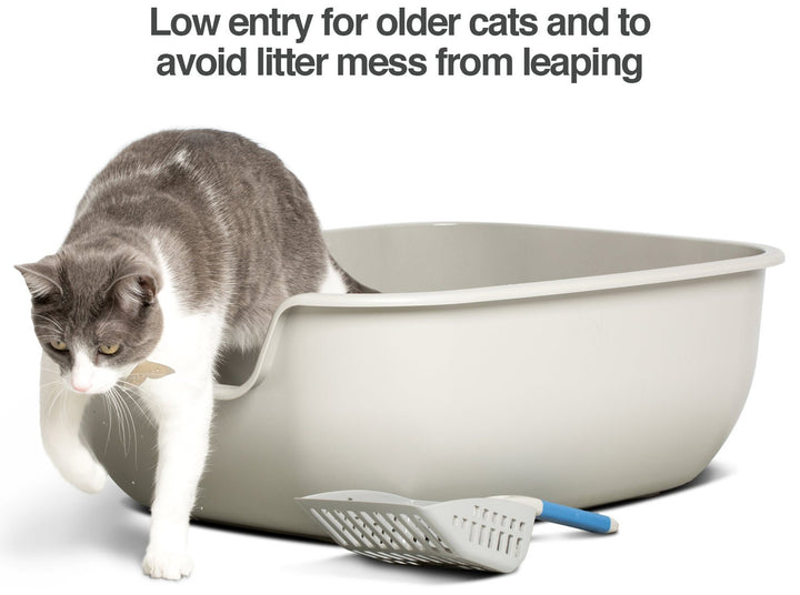 BetterBox Non-Stick Large Litter Box, Pet Safe Coating for Easier Cleaning, Open Top Promotes Healthy Usage, Made of Stronger ABS Plastic