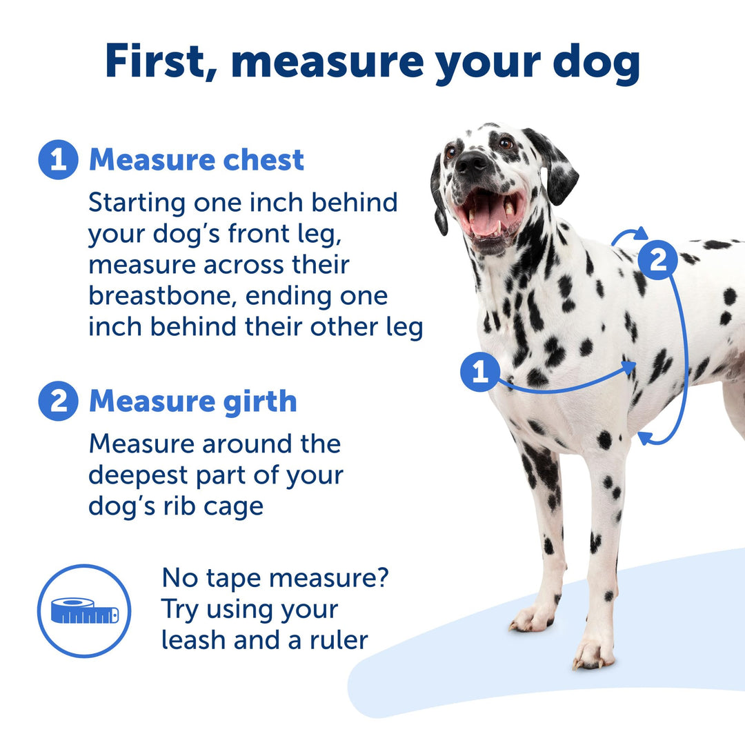Easy Walk No-Pull Dog Harness - The Ultimate Harness to Help Stop Pulling - Take Control &amp; Teach Better Leash Manners - Helps Prevent Pets Pulling on Walks, Medium, Royal Blue/Navy Blue