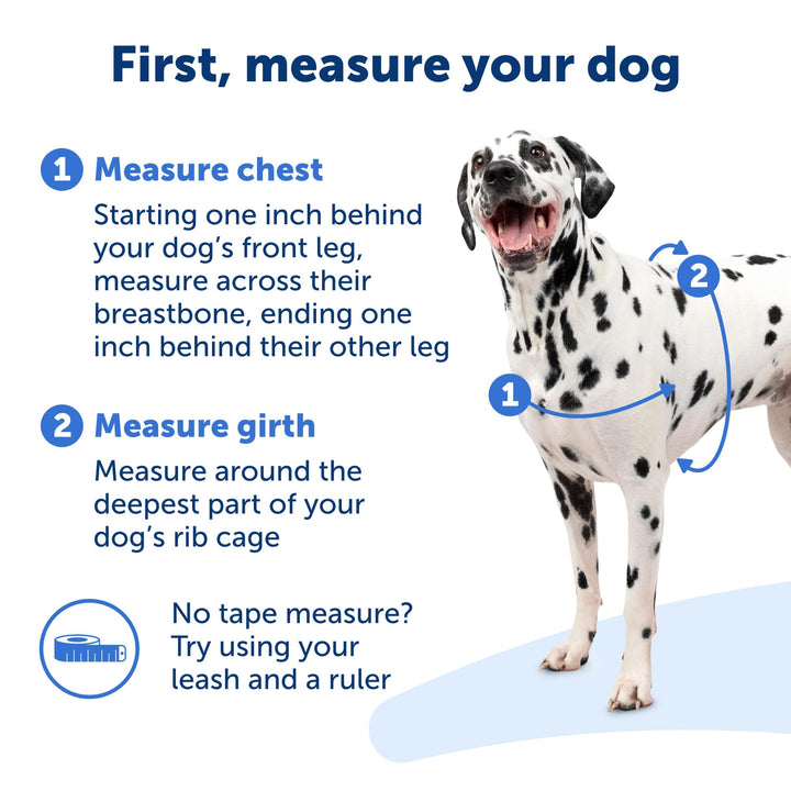 Easy Walk No-Pull Dog Harness - The Ultimate Harness to Help Stop Pulling - Take Control &amp; Teach Better Leash Manners - Helps Prevent Pets Pulling on Walks, Medium, Royal Blue/Navy Blue