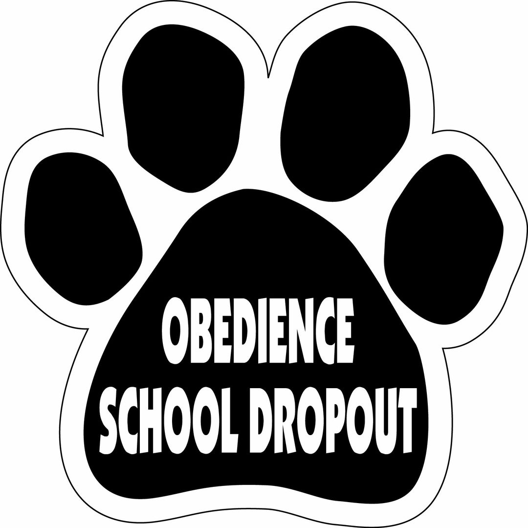 Paw Car Magnet, Obedience School Dropout, 5-1/2-Inch by 5-1/2-Inch