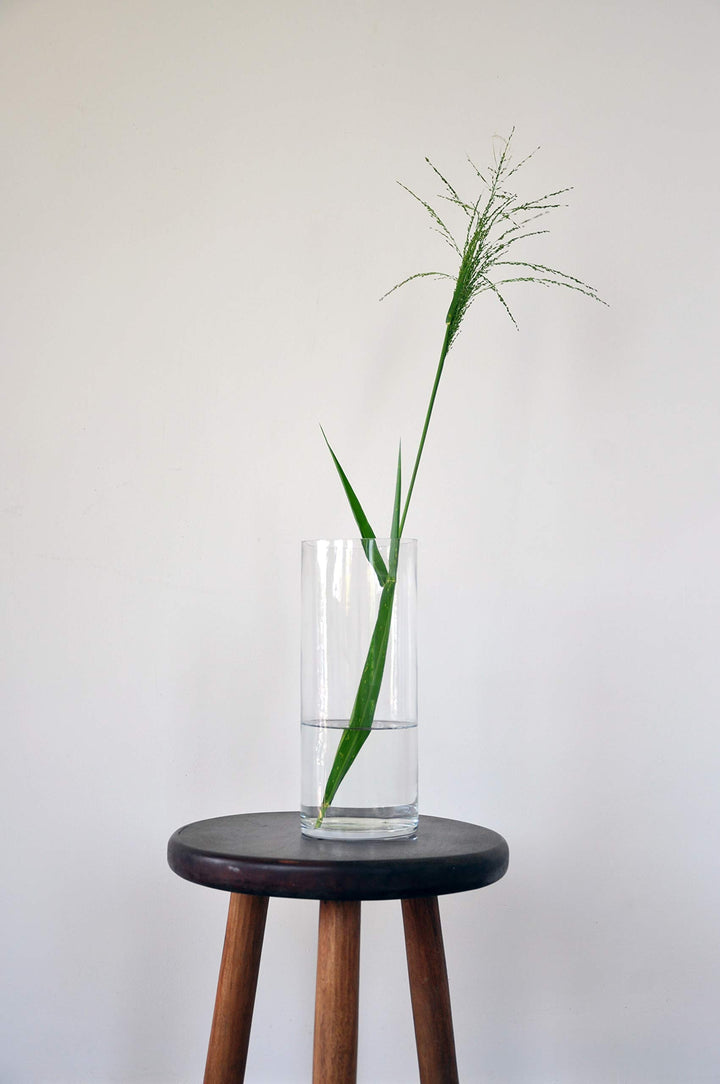 WGV Quality Thick Cylinder Vase, Diameter 5, Height 12,