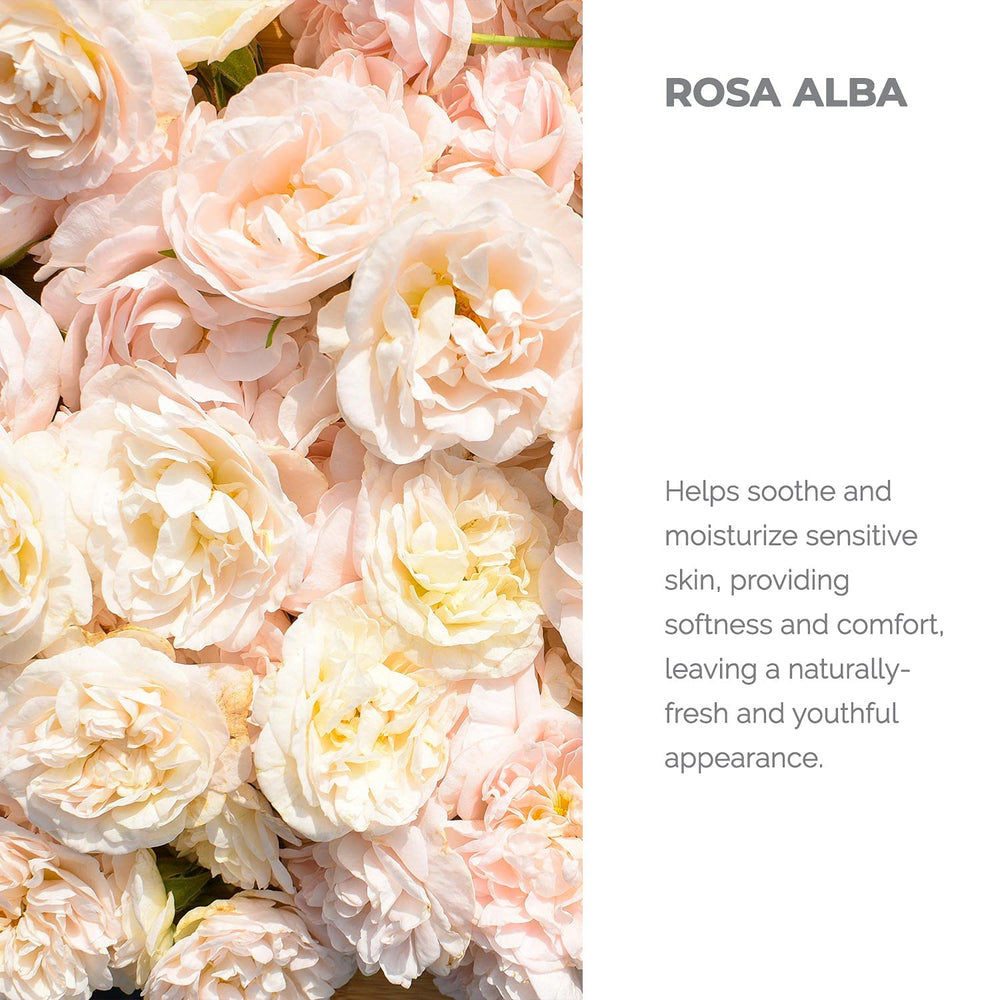 Bulgarian White Rose Water (Rosa Alba) - USDA Certified Organic - 250ml /8.5 fl oz