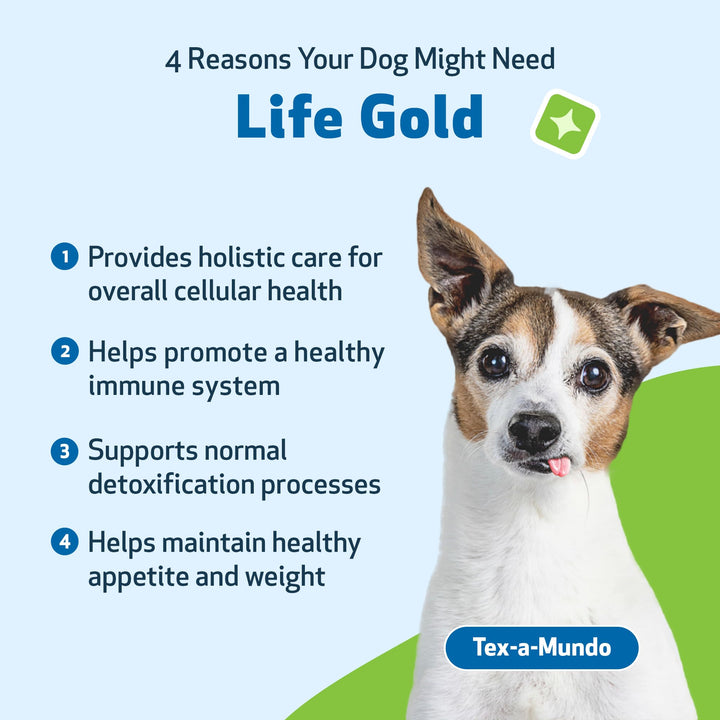 Life Gold for Dogs - Vet-Formulated - Immune Support and Antioxidant Protection - Natural Herbal Supplement 2 oz (59 ml)