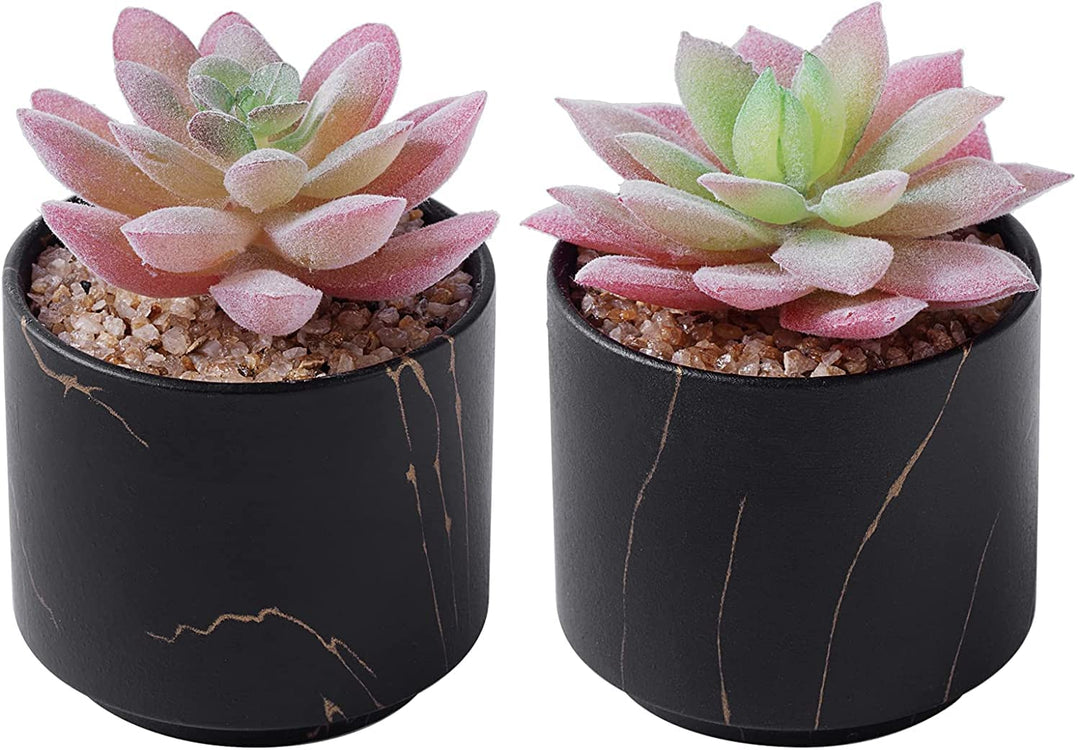 ZENMAG Mini Succulents Plants Artificial, Fake Succulents in Black Ceramic Pots for Desk Livingroom Bathroom and Home Decoration Office Decor for Women Set of 2 Artificial Succulents