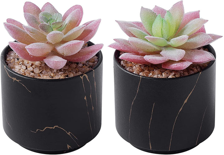 ZENMAG Mini Succulents Plants Artificial, Fake Succulents in Black Ceramic Pots for Desk Livingroom Bathroom and Home Decoration Office Decor for Women Set of 2 Artificial Succulents