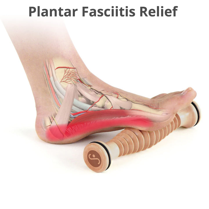 Body Back Company Foot Roller
