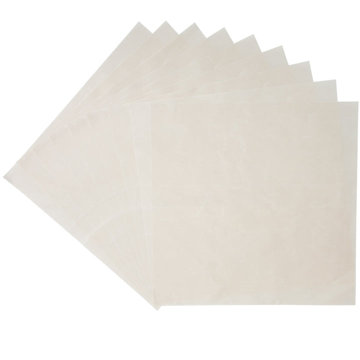 10-Pack Flexible Reusable and Resizable Non Stick Teflon Food Dehydrator Sheets, 14x14-Inches