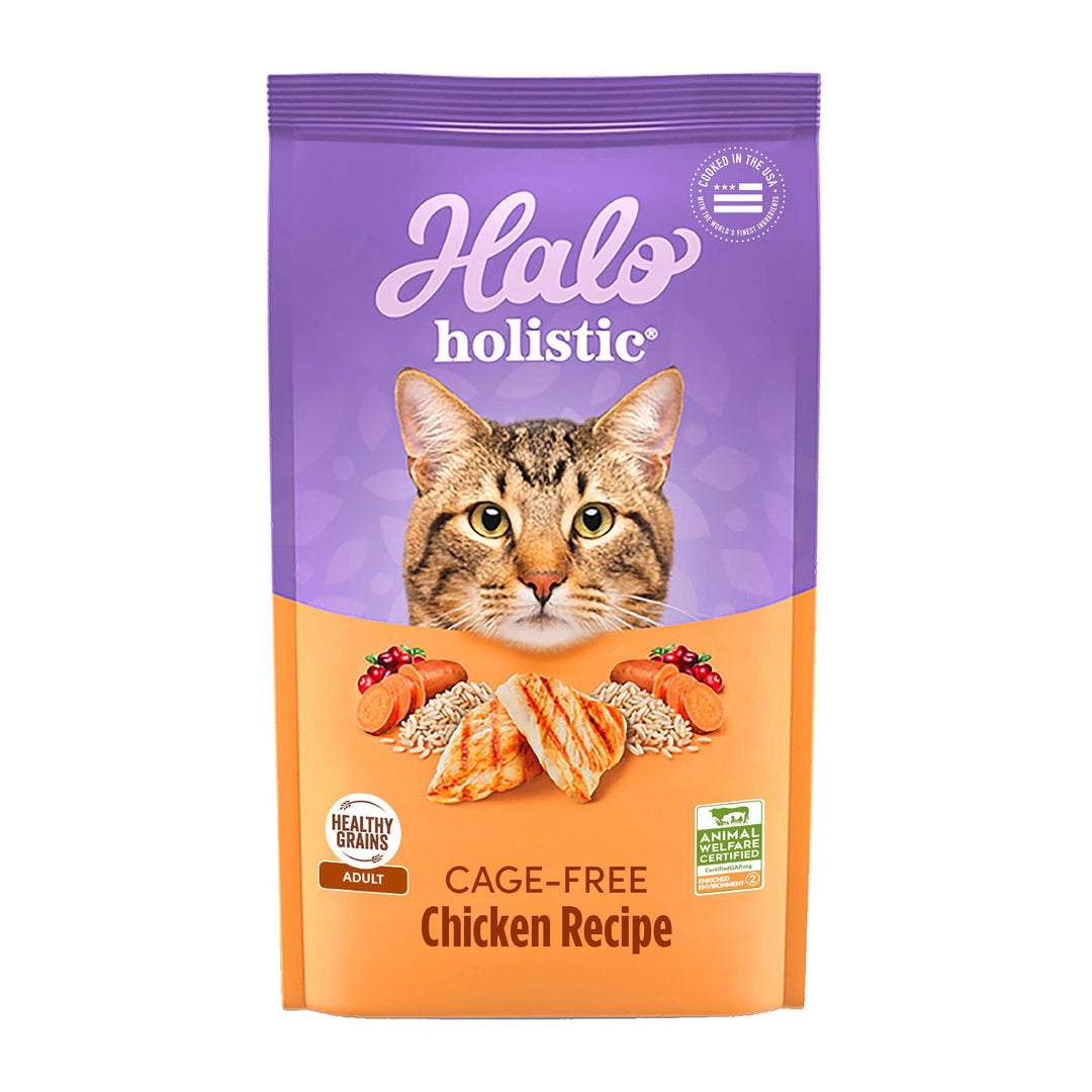 Holistic Cage Free Chicken Cat Food, Healthy Grains Dry Cat Food, Complete Digestive Health, Kibble for Adult Cats, 3 lb Bag