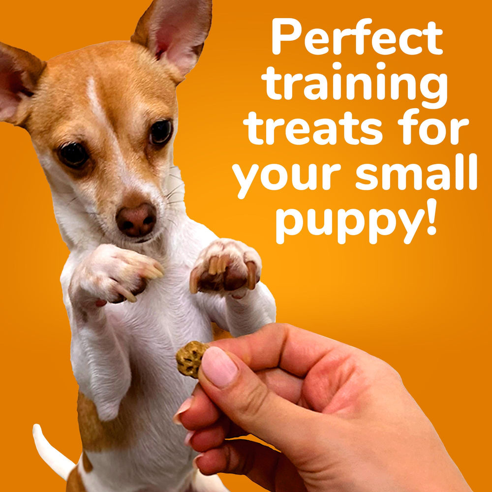 Skinny Mini Dog Treats – Healthy Treats for Dogs – Low Calorie Training Treats – Free of Wheat, Corn and Soy – Grilled Bison – USA Made – 5 Ounces