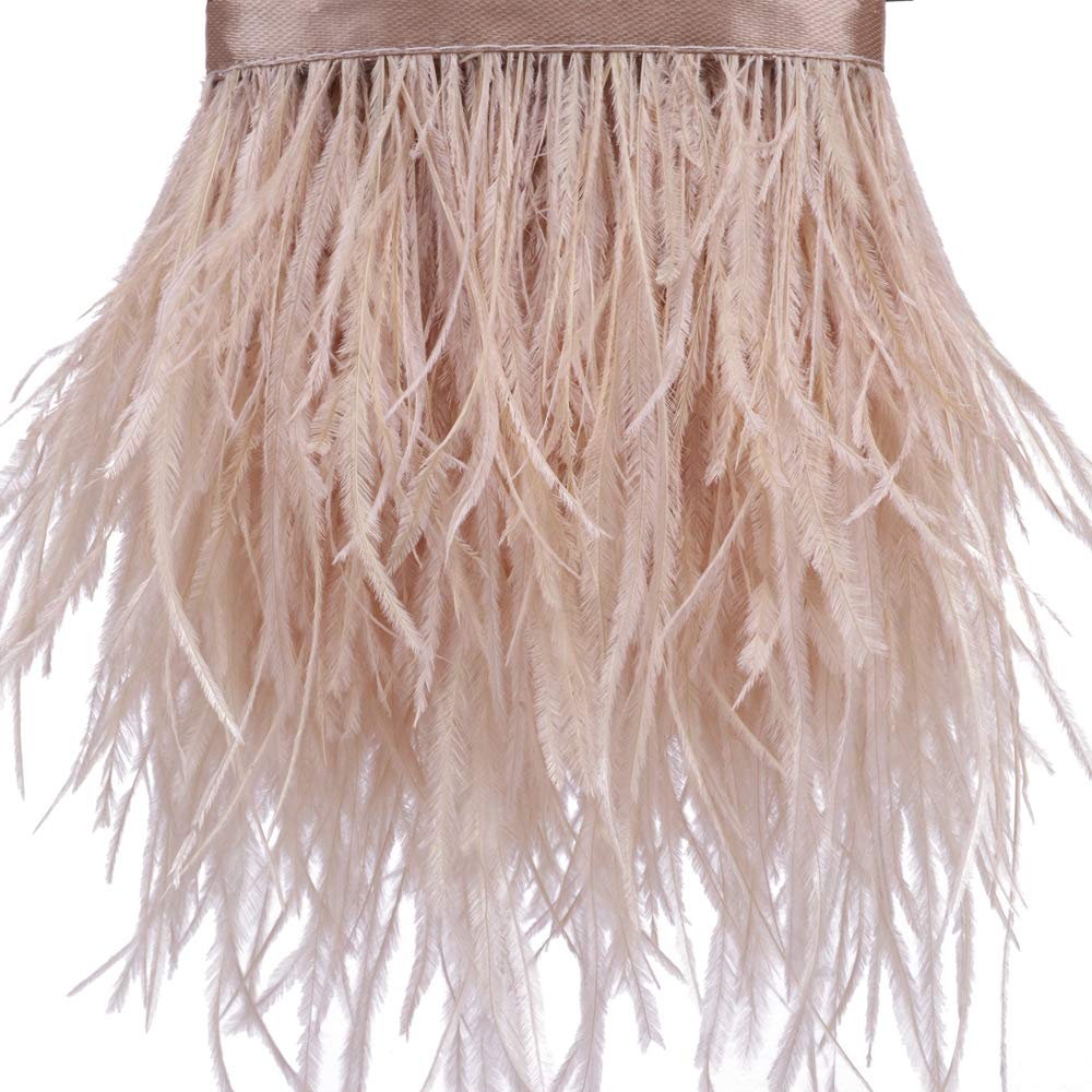 Ostrich Feathers Sewing Fringe Trim Ribbon for Crafts Clothes Accessories Latin Wedding Dress DIY 2 Yards 4-6inch Width (Champagne)