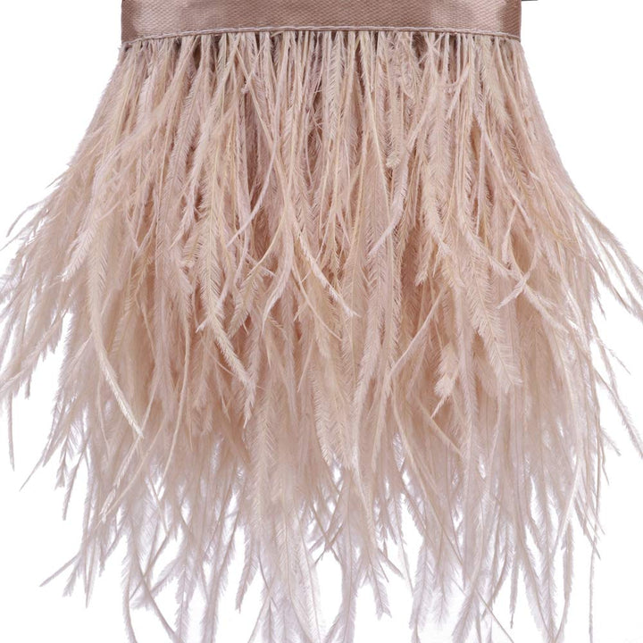 Ostrich Feathers Sewing Fringe Trim Ribbon for Crafts Clothes Accessories Latin Wedding Dress DIY 2 Yards 4-6inch Width (Champagne)