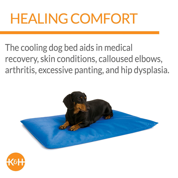 K&amp;H Pet Products Cool Bed III Dog Cooling Mat, Indoor Outdoor Cooling Beds for Small Dogs, Chilling Pet Pad for in Home, Outdoor Houses, Crates, Yards, Porches - Small 24 X 17in Chill Blue
