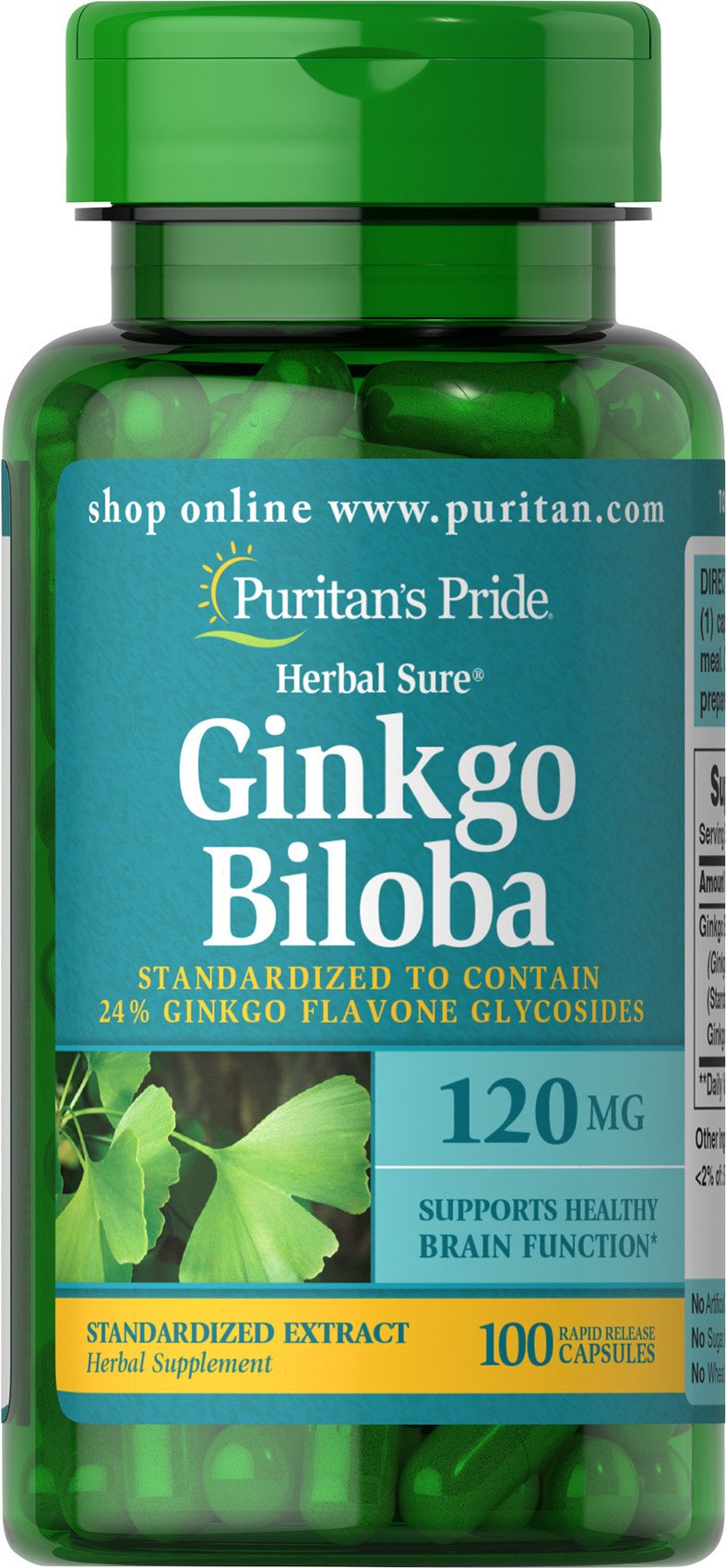 Puritan's Pride Ginkgo Biloba Standardized Extract 