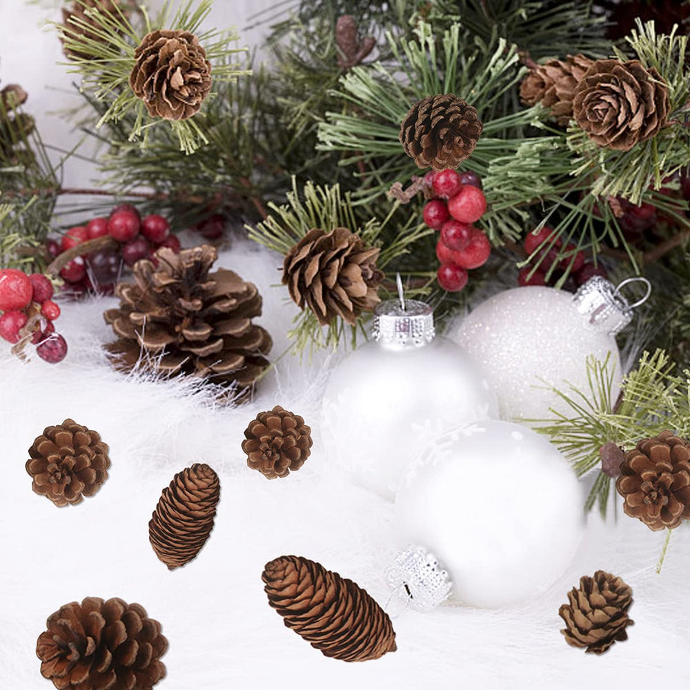 40 PCS Pine Cones Decorations, Natural Pine Cones Bulk Package - Large Medium and Mini Size Rustic Pine cone Ornaments for Table Christmas Tree Crafts Gifts Halloween Thanksgiving Home Decor