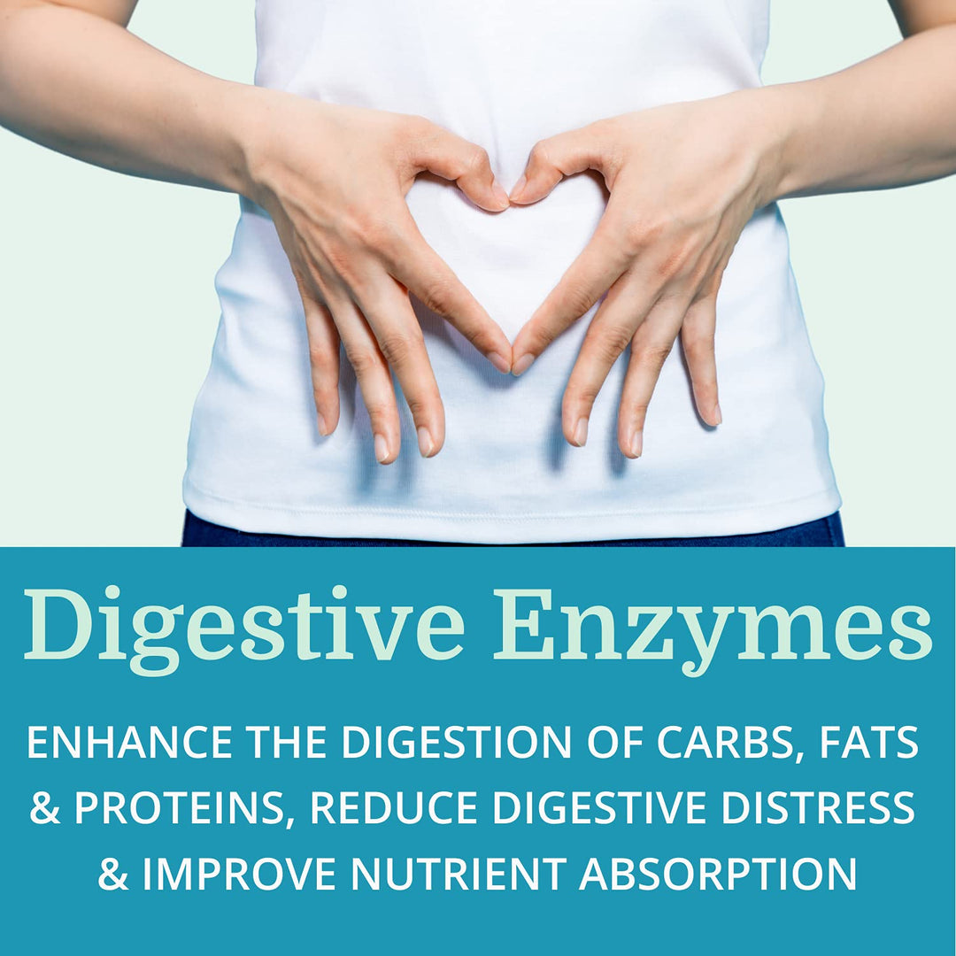 Alka•Pan Best Process Alkaline — Natural Digestive Supplement — Pancreatic Enzymes with Antioxidant-Rich Superfoods &amp; Digestive Herbs