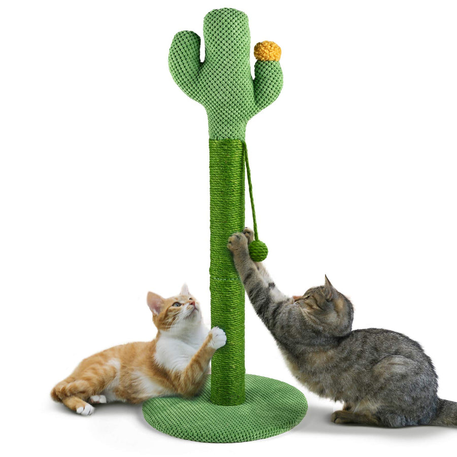 Cat Scratching Post, 33 inch Tall Cactus Scratching Post with Dangling Ball, for Large Cats and Kittens