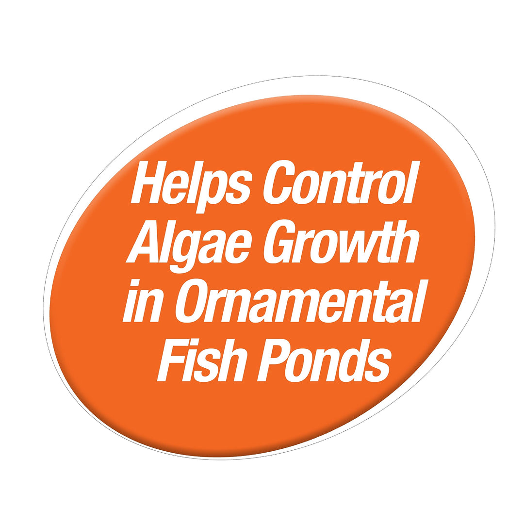 Pond Pond Block, 50 Count, Helps Control Algae Growth in Ornamental Fish Ponds