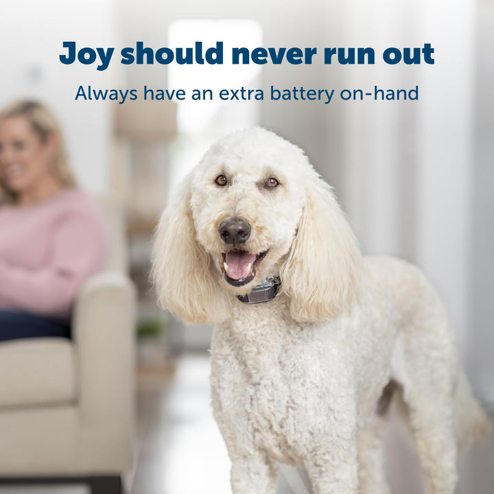 PetSafe RFA-188 3 Volt Replacement Battery Module - Com