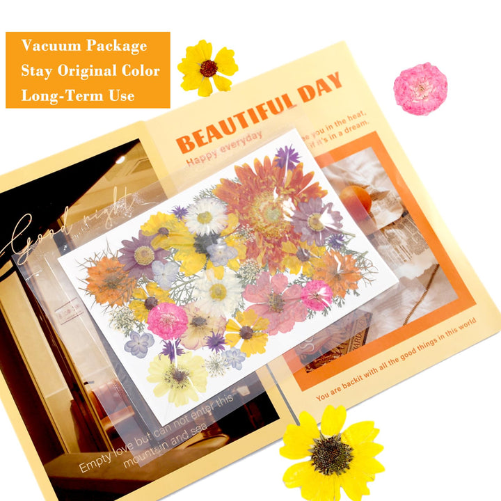 Assorted Real Dried Pressed Flowers Combination Real Dried Pressed Leaves Combination Natural Dry Flowers Leaves (57 Pieces)