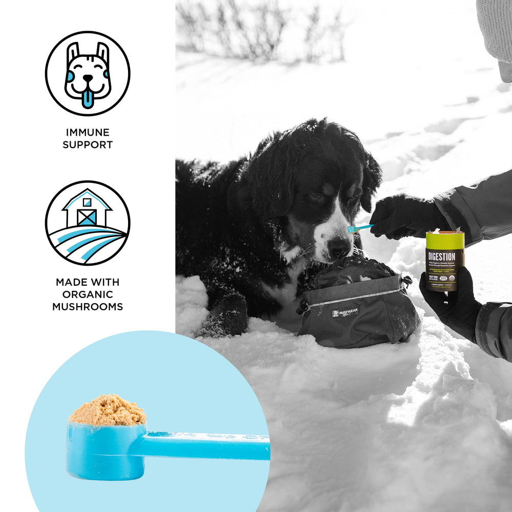 dog vitamins supplements Immune Support Daily Cat Supplement, Powder Supplement, 2 Month Supply US