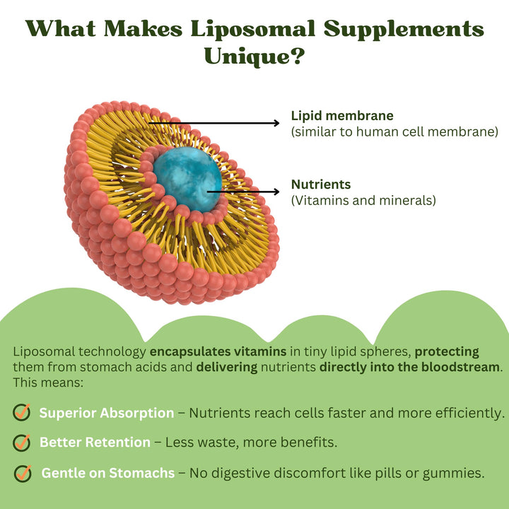 Liposomal Kids Liquid Multivitamin | Non-GMO | Clean | Sugar Free | Gluten Free | Organic Berry Flavors | Immune Support | Bone Health | Overall Wellness | 30 Servings | 3 fl oz