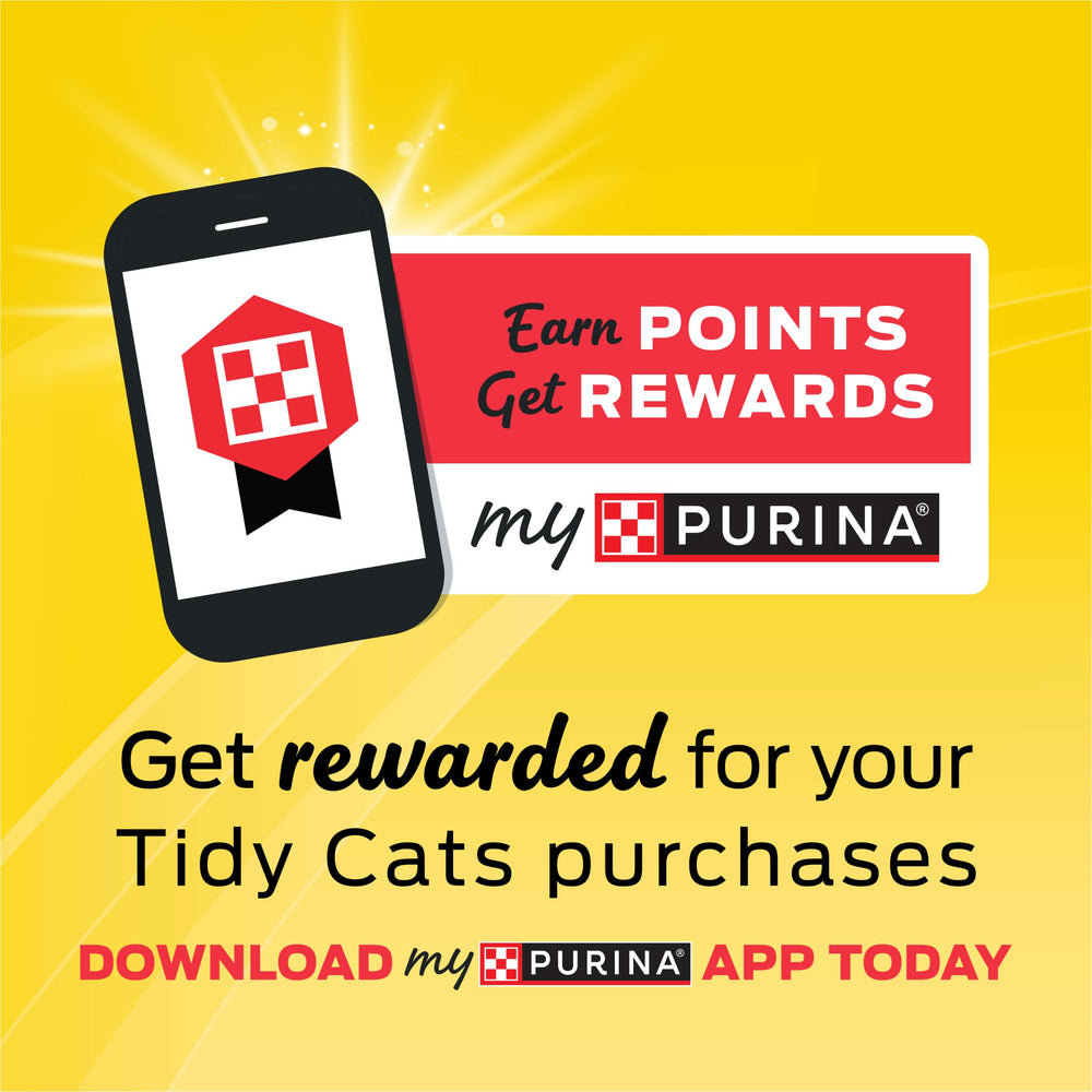 Purina Unscented Cat Litter, Free & Clean Clumping Clay Cat Litter, Recyclable Box - (Pack of 3) 13.33 lb. Bags