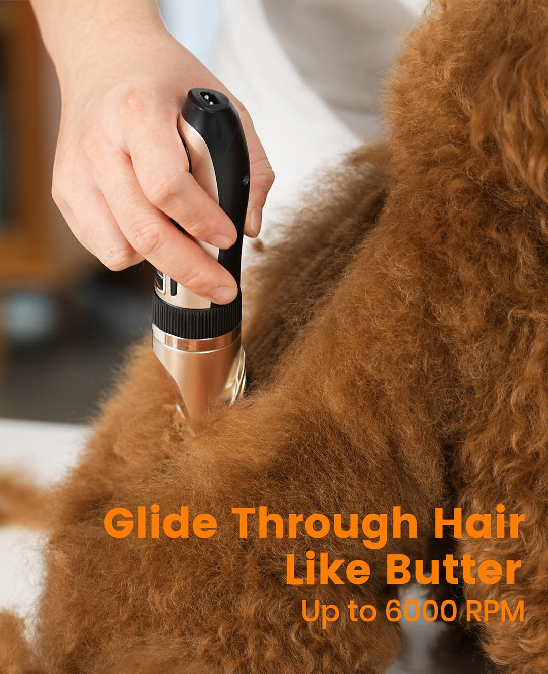 Dog Clippers and Dog Paw Trimmer Kit 2 in 1 Low Noise Cordless Dog Clippers for Grooming Pet Hair Trimmers for Small and Large Dogs Cats Animals