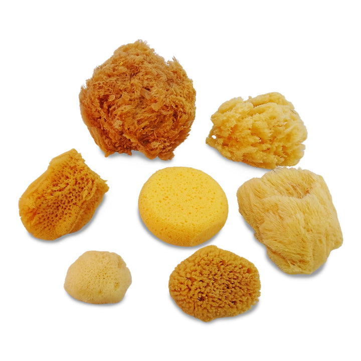 Natural Sea &amp; Synthetic Sponges - Assorted Sizes 7pc Value Pack for Crafts &amp; Artists: Great for Painting, Hobbies, Art, Effects, Ceramics, Clay, Pottery ®
