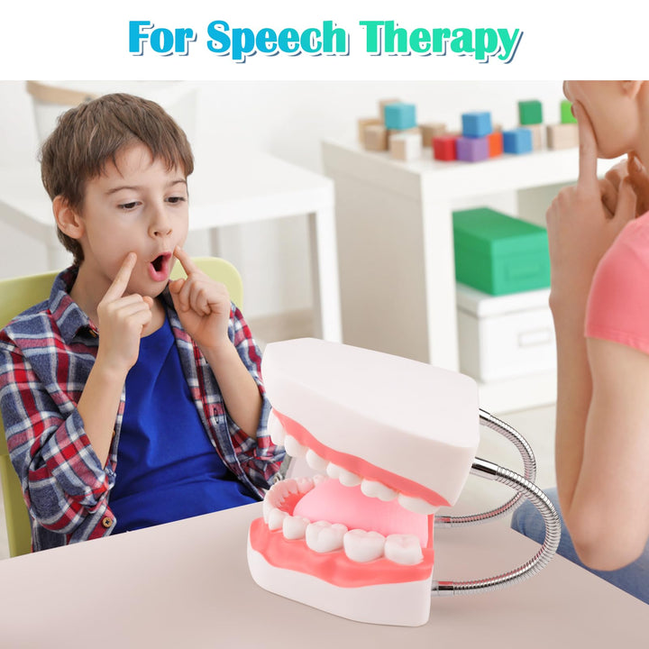 Ultrassist Mouth Model Metal Hinge for Speech Therapy, 