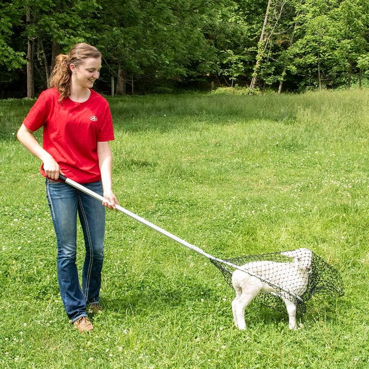 Premier EZ Catch Net (37- 57 Handle with 23 Net Opening &amp; Teardrop Mesh)