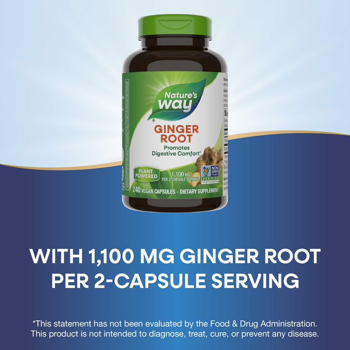 Nature&#39;s Way Ginger Root, Promotes Digestive Comfort*, 1,100 mg Per 2-capsule Serving, Non-GMO Project Verified, Vegan, 240 Capsules (Packaging May Vary)